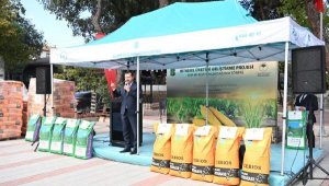 Balıkesir'de süt otu tohumu toprakla buluştu