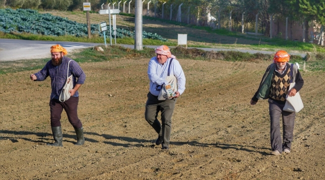 Başkan Oran belediye arazisine kara yulaf ekti