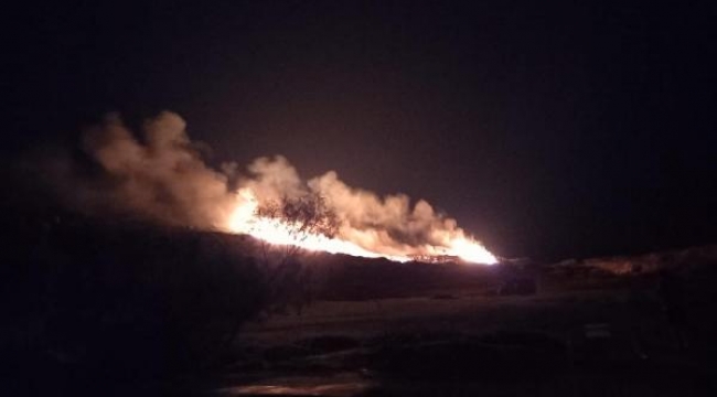 Bodrum'da makilik alanda korkutan yangın