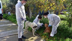 Can dostlar için kış hazırlığı