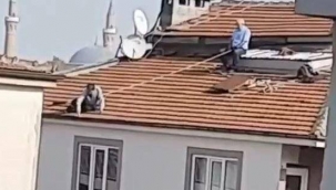 Çatı tamir ederken aldıkları tedbire bak! 