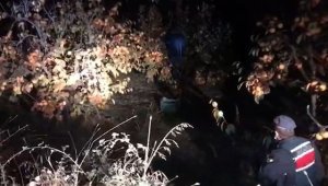 Cennet elması hırsızları ağaç dalında yakalandı