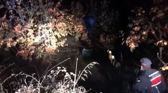 Cennet elması hırsızları ağaç dalında yakalandı