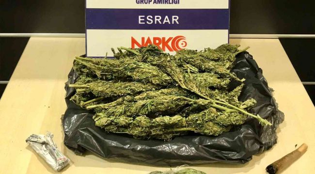 Çeşme'de çadır kurup uyuşturucu satanlar yakalandı