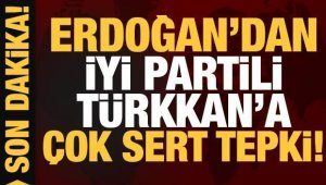 Cumhurbaşkanı Erdoğan'dan İYİ Parti'li Türkkan'a tepki