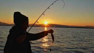 Dünya Balıkçılık Günü Çeşme'de kutlandı