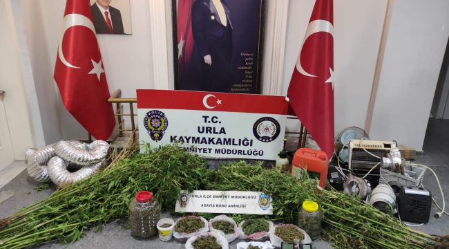 Evinde uyuşturucu yetiştiren kişi tutuklandı 