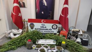 Evinde uyuşturucu yetiştiren kişi tutuklandı 