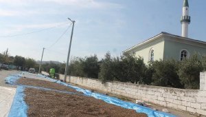 Fasulyeler cadde ve sokaklarda kurutuluyor