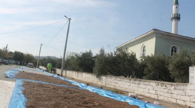 Fasulyeler cadde ve sokaklarda kurutuluyor