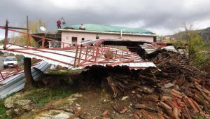 Fırtına ve hortumdan 15 ev zarar gördü, ağaçlar devrildi