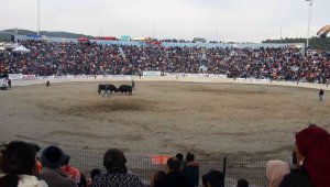 Güreşlerin geliri kimsesiz çocuklara