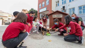 Her okula bir sokak köpeği