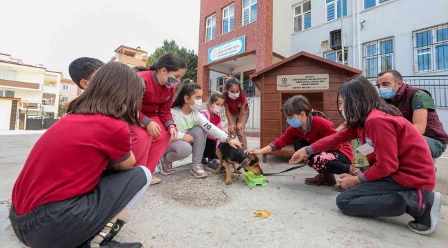 Her okula bir sokak köpeği