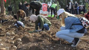 İzmir'de 65 bin fidan toprakla buluştu