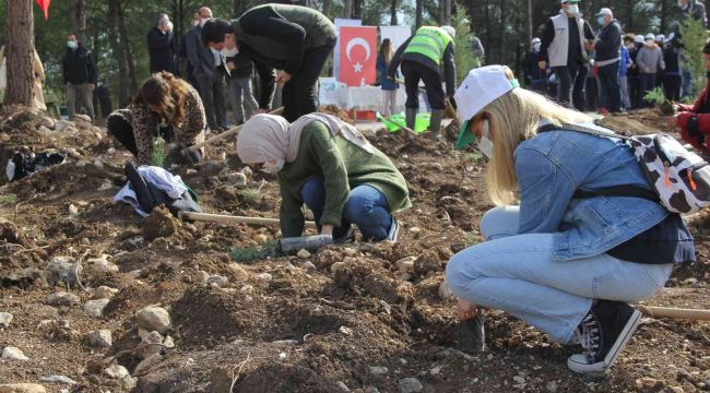 İzmir'de 65 bin fidan toprakla buluştu
