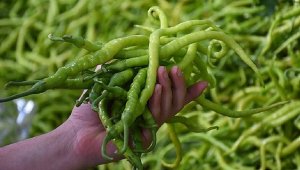 İzmir'de çarliston zam şampiyonu 