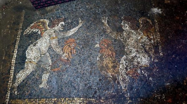 'Kaçak kazıda bulunan eserler, Romalı zenginleri anlatıyor'