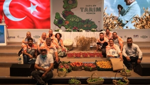 Milli ekonominin temeli zirattir