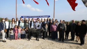 Muğla'da kadın üreticilere destek