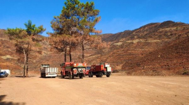 Muğla'da yanan orman yeniden yeşeriyor