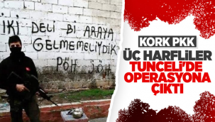 Polis ve askerden dev operasyon