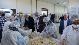 Sındırgı'dan dünyaya jeotermalle sağlıklı gıda