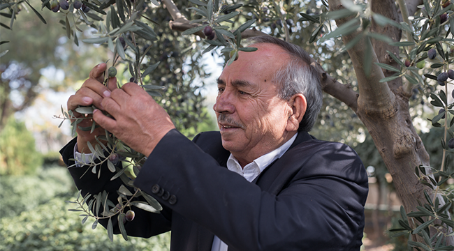 TARİŞ Zeytinyağına 35 TL fiyat belirledi