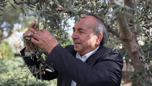 TARİŞ Zeytinyağına 35 TL fiyat belirledi