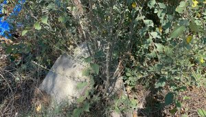 Tarlada Osmanlı eserleri bulundu