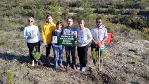 Yazdığı kitabın geliriyle koruluk oluşturdu