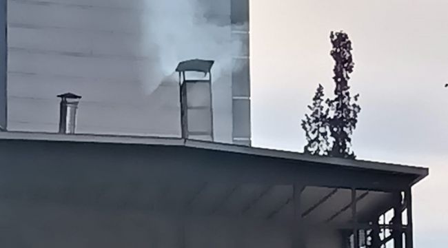 Yoğun duman, mahalle sakinlerini rahatsız ediyor