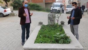 Yolun ortasında kalan 'sır mezar' mahalleliyi ikiye böldü