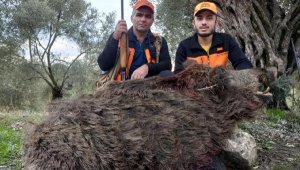 250 kiloluk domuz vurup, sosyal medyada paylaştılar