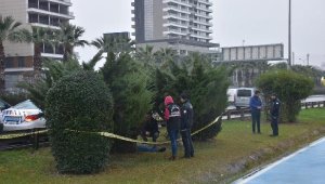 Ağaçların arasında yaşamına son verdi