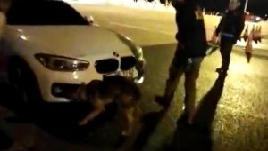 'Alis', otomobildeki 5 kilo uyuşturucuyu buldu 