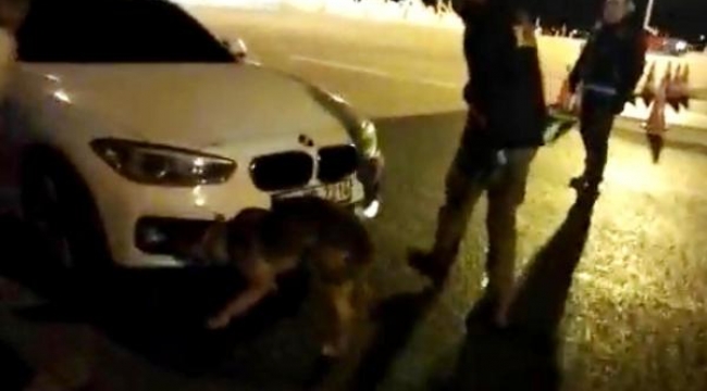 'Alis', otomobildeki 5 kilo uyuşturucuyu buldu 