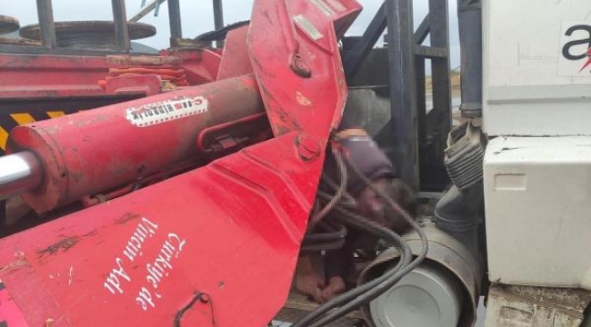 Aydın'da, kırılan vinç aparatı ile kamyon arasında sıkışan işçi öldü