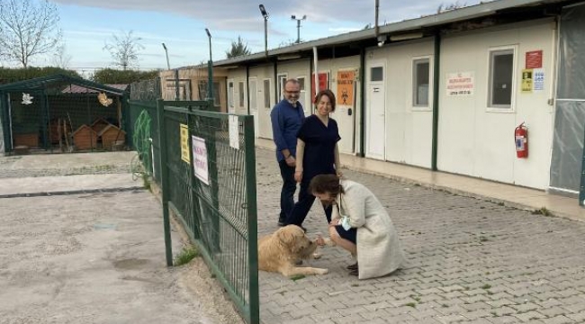 Balçova'da hayvan bakımevi denetimi
