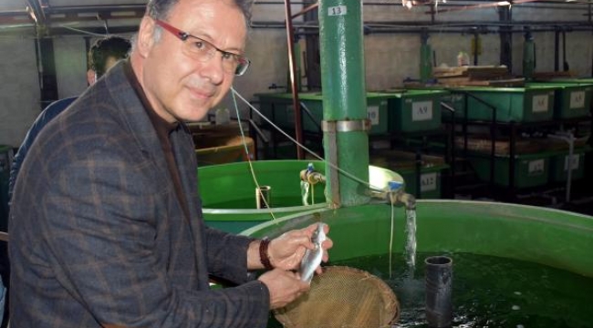  Balıklardaki ölümcül hastalık insana bulaşmıyor..