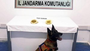 Bodrum'da uyuşturucu operasyonu; 7 gözaltı