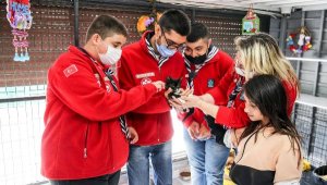 Buca'da sahiplenilen engelli kedilere ömür boyu sağlık hizmeti