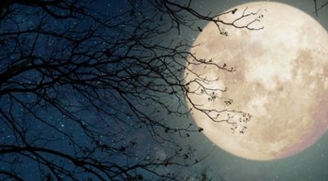 Bugün yılın en uzun gecesi, Şeb-i yeldâ