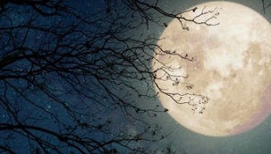 Bugün yılın en uzun gecesi, Şeb-i yeldâ