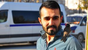Bülbül omzunda geziyor, sahibini bırakmıyor