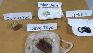 Büyü yapmak için kedileri kesiyordu iddiası