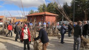 Çameli Belediyesi ücretsiz ceviz fidanı dağıttı