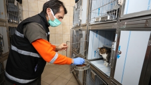 Can dostların kafesleri artık daha konforlu