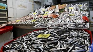 Çanakkale'de lodos nedeniyle lüferin fiyatı 200 liraya çıktı