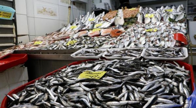 Çanakkale'de lodos nedeniyle lüferin fiyatı 200 liraya çıktı